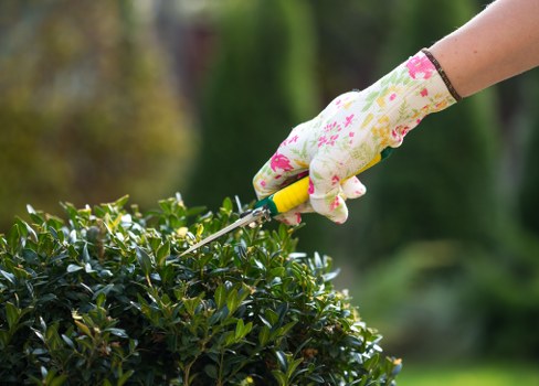 Tidy garden maintenance in Hackney Wick with trimmed hedges and neat borders