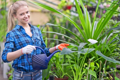 Illustration representing accessibility support for Gardeners Hackney Wick