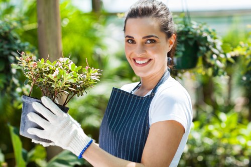 Seasonal lawn treatment for Hackney Wick properties