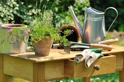 Transparent pricing for regular garden maintenance in Hackney Wick