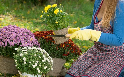 Free quote assessment for a mixed-access Hackney Wick garden