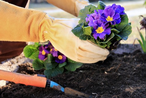Professional gardening care for a property in Hackney Wick