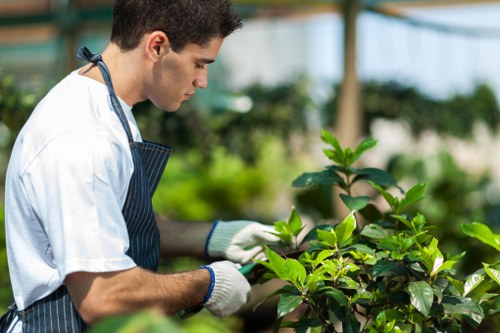 Local garden care service in Hackney Wick shaping outdoor space