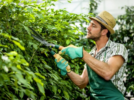 Supplier risk review within Hackney Wick gardening operations