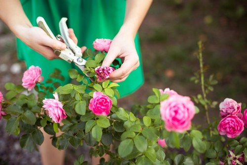 PCI compliant garden service checkout security