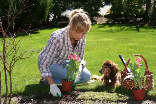 Eco-friendly lawn maintenance for Hackney Wick outdoor spaces