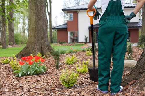 Weed, moss, and turf care in Hackney Wick gardens