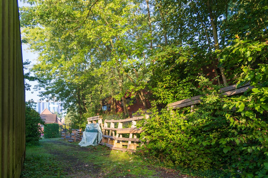 A paved pathway alongside a narrow canal in a residential area, with various plants and small trees lining the edge. To the left, there are multi-storey buildings with some graffiti on the lower walls